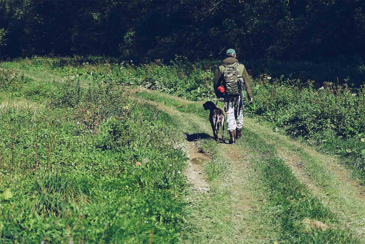 TOP 7 porad, jak przetrwać w naturze