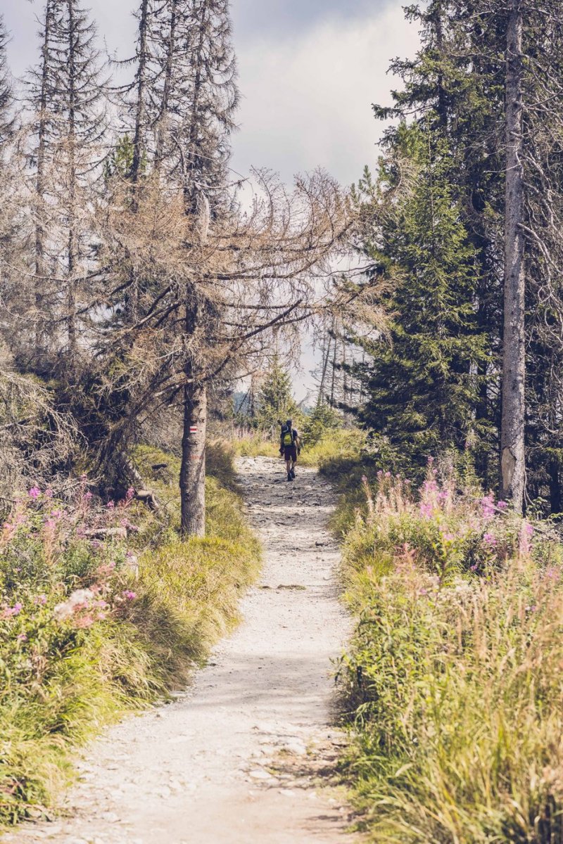 1603707482-bosp-banner-vratenia-penazi.jpg